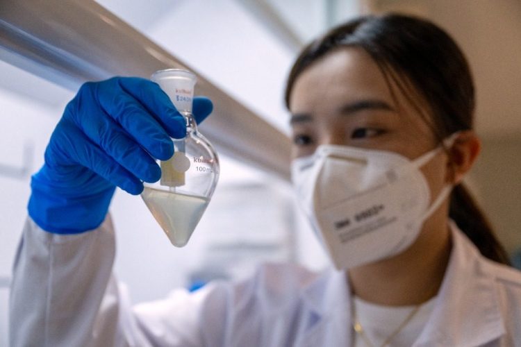 重慶潼南：應季檸檬加工開啟“加速鍵”