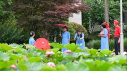 重慶：早荷初綻 市民打卡享愜意生活