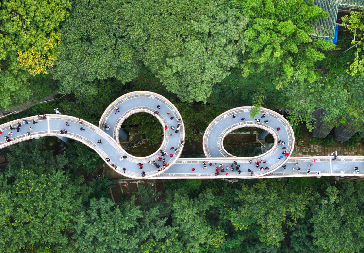 重慶渝中:半山崖線鵝嶺棧橋開放首日人氣爆棚