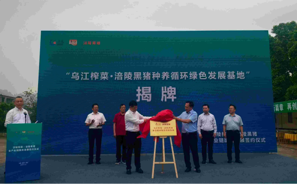 重慶涪陵：榨菜與黑豬全産業鏈融合發展簽約儀式舉行_fororder_圖片2