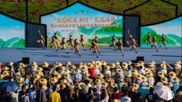 全國首次文藝賦美鄉村交流活動在渝舉行