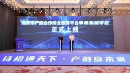 “科技産業金融”一體化路演（奉巫巫城專場）在重慶奉節舉辦