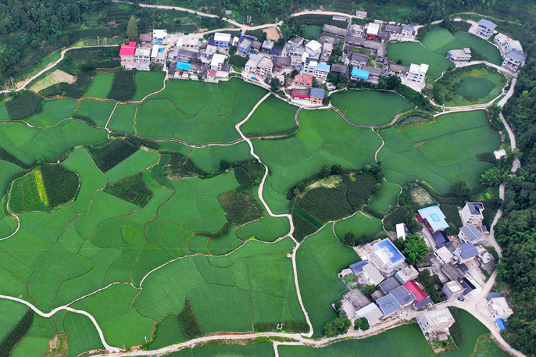 有一種濾鏡叫“夏天”！悠長夏日藏在山區裏的“世外桃源”有多治愈？