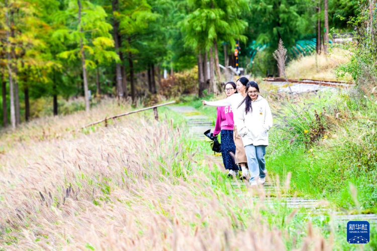 重慶石柱橋頭鎮：農文旅融合助力鄉村振興