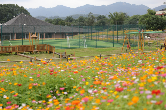 青春紅岩｜“空心村”蝶變“網紅村” 重慶璧山將軍村：電力“紅馬甲”點亮鄉村振興路_fororder_微信圖片_20251103153842