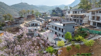 四進三回｜引入市場化運營理念——巫山江村從“燈下黑”變“網上紅