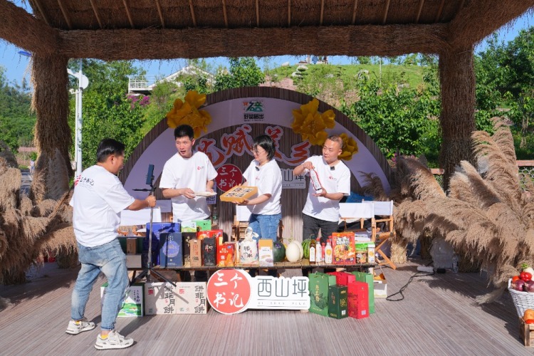 全國首次文藝賦美鄉村交流活動在渝舉行