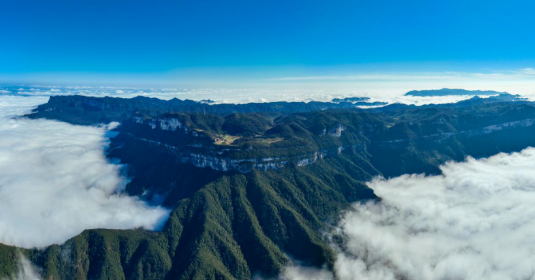 6月免門票 重慶南川金佛山“逸趣山水·‘粽’享童年”主題系列活動舉行_fororder_微信圖片_20250528135025