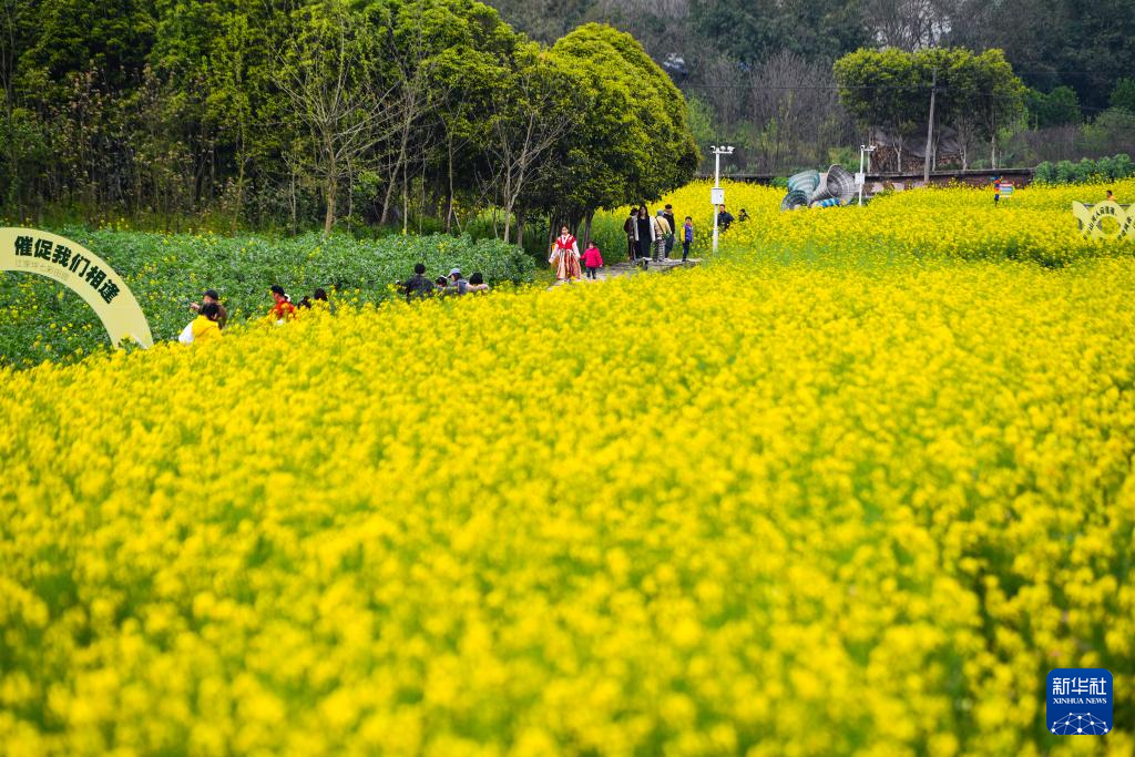 重慶璧山：“田園花朝節”引客來