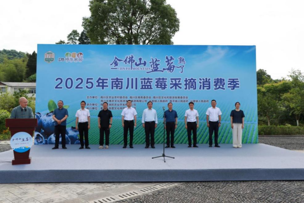 重慶：2025年重慶南川藍莓採摘消費季啟幕_fororder_圖片1