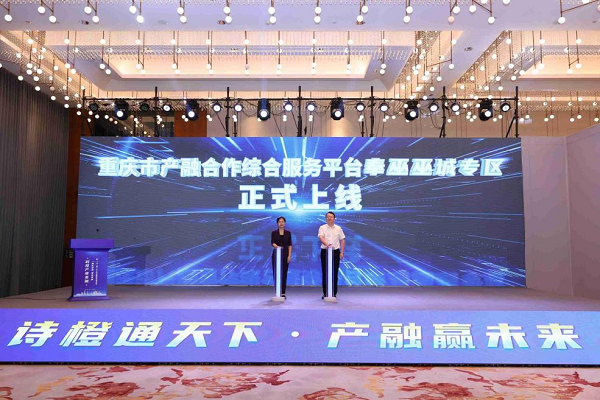 “科技産業金融”一體化路演（奉巫巫城專場）在重慶奉節舉辦_fororder_mmexport1756278203864