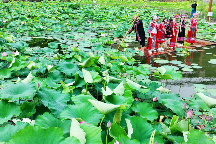武陵山區：夏韻悠然 田園如詩