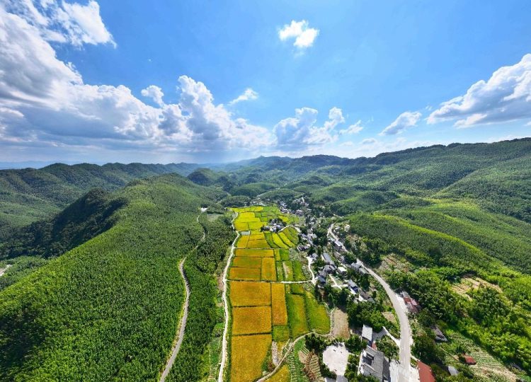 重慶梁平：高山鄉鎮秋色美