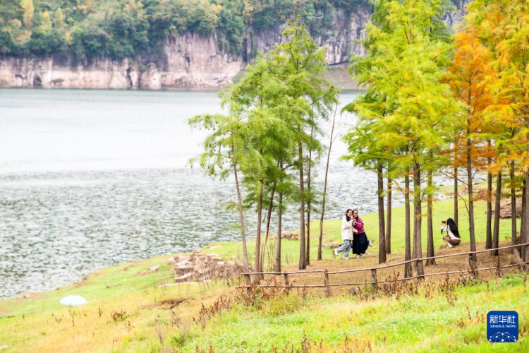 重慶石柱橋頭鎮：農文旅融合助力鄉村振興