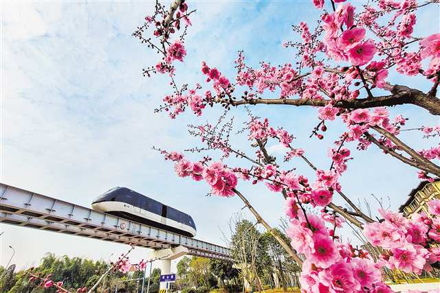 重慶交通正“向綠而行”