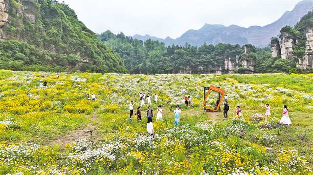 重慶南川： 五月花海醉遊人 農旅融合促振興