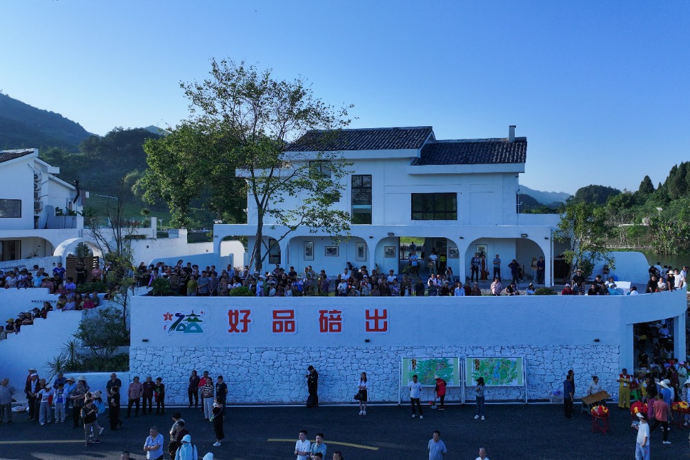 全國首次文藝賦美鄉村交流活動在渝舉行