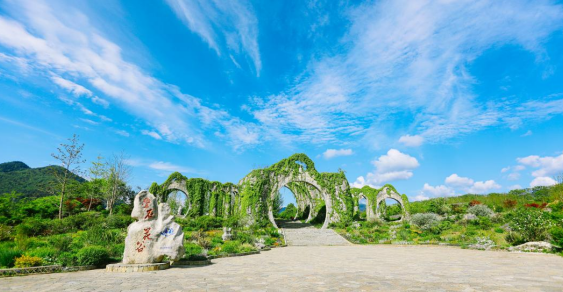 AI點亮千年桃源 重慶酉陽數字文旅發佈會引領科技賦能新紀元_fororder_微信圖片_20250514163531