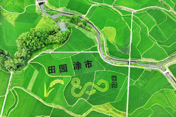 武陵山區：夏韻悠然 田園如詩
