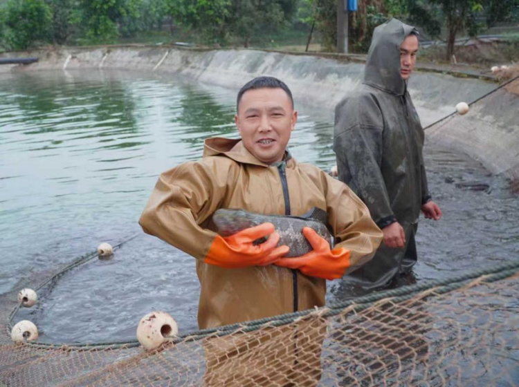 重慶銅梁：小烏魚“遊”出大天地_fororder_mmexport1761805718474