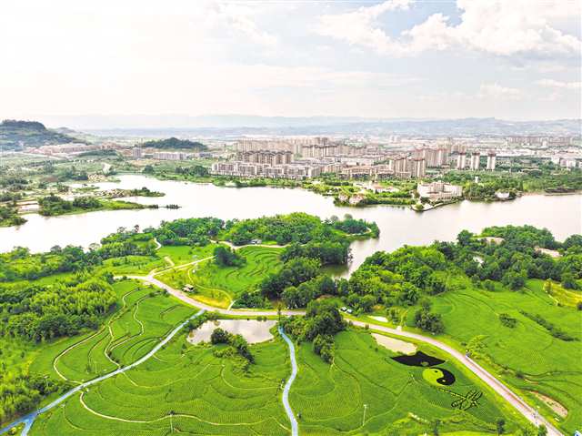 入選《上海手冊》 “巴渝治水” 用AI+守護一江碧水