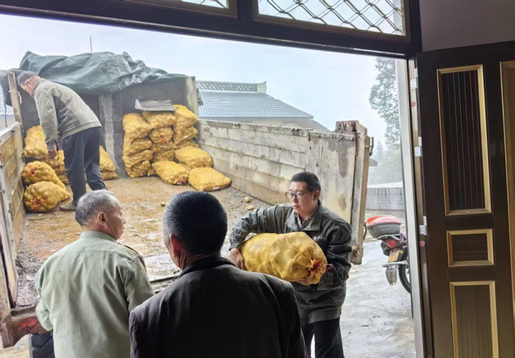 重慶巫溪：電力幫扶送良種 産業“薯”光促振興_fororder_mmexport1761028038772