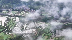 重慶酉陽：梯田披“雲裳” 鄉村如畫卷