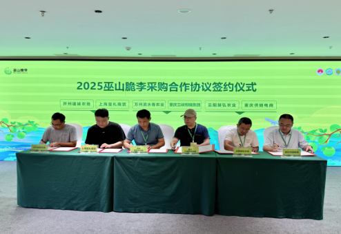 2025年重慶巫山脆李産銷訂購洽談會成功舉辦_fororder_微信圖片_20250705154137