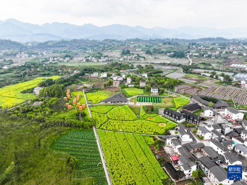 重慶璧山：“田園花朝節”引客來