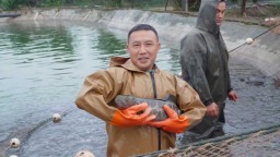 重慶銅梁：小烏魚“遊”出大天地