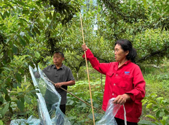 山水作箋 文旅為墨 重慶巫山平河鄉“揮毫潑墨”繪就鄉村振興長卷_fororder_微信圖片_20250829124855