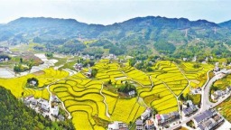 重慶梁平： 高標準農田春景美