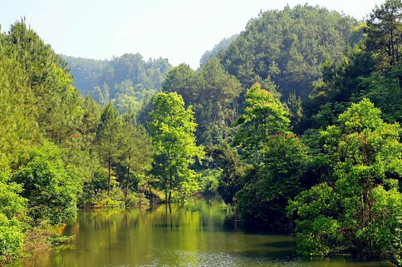 【聚焦重慶】嬗變中的放牛坪：大山深處唱響梨園牧歌