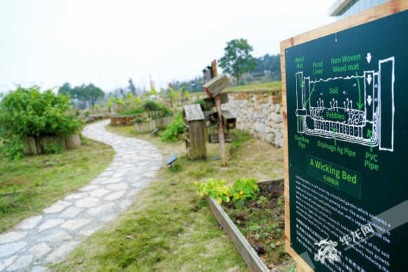 【聚焦重慶】嬗變中的放牛坪：大山深處唱響梨園牧歌