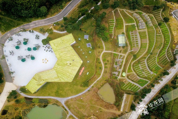 【聚焦重慶】嬗變中的放牛坪：大山深處唱響梨園牧歌