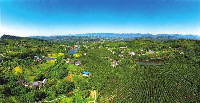 【城市遠洋】重慶北碚：建畫裏鄉村 留夢裏鄉愁