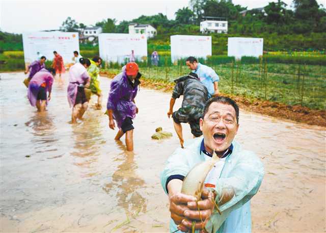 巴渝大地喜慶“中國農民豐收節”