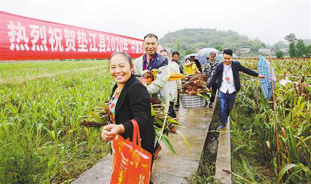 巴渝大地喜慶“中國農民豐收節”