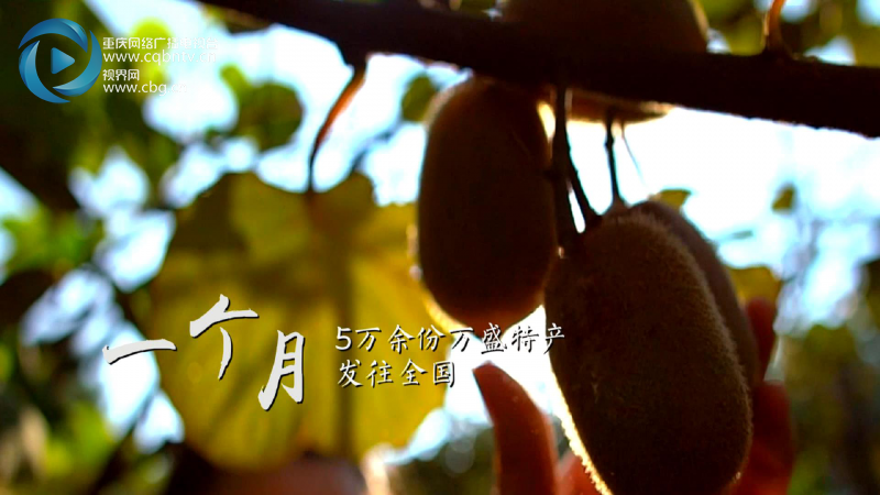 網信辦要求放在首屏【滾動】【滾動新聞】100秒看重慶萬盛