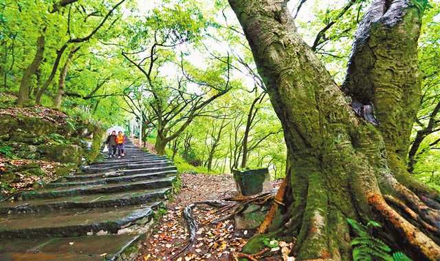 【要聞 摘要】建設山城步道 打造美麗之地幸福路