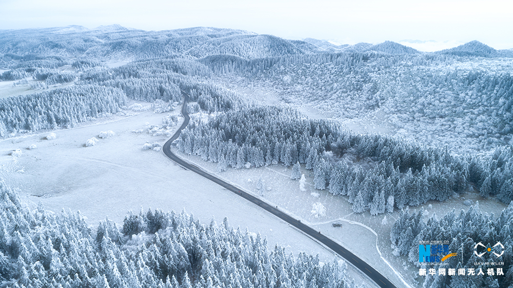 【渝情渝景】重慶：雪落仙女山 如童話世界