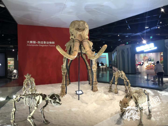 圖片默認標題_fororder_66f113e4-bdcc-4031-91a7-1edeed057e19