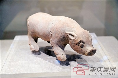 圖片默認標題_fororder_1548725239(1)
