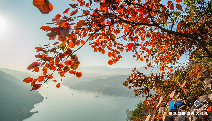重慶：紅葉又滿峽江