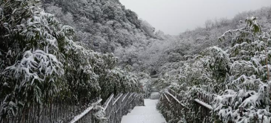 重慶南川金佛山迎來2020年冬季第一場大雪