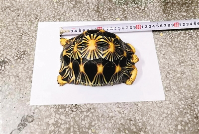 圖片默認標題_fororder_A