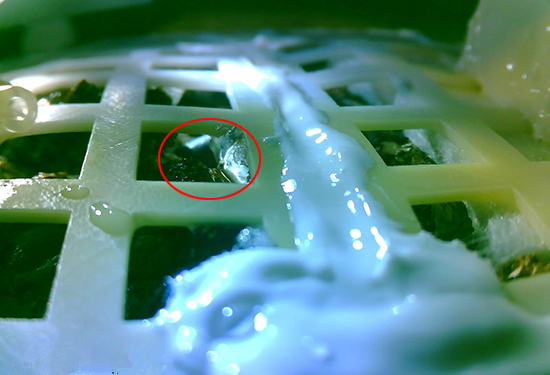【CRI專稿 列表】重慶大學科研團隊在月球上種出人類第一株植物嫩芽