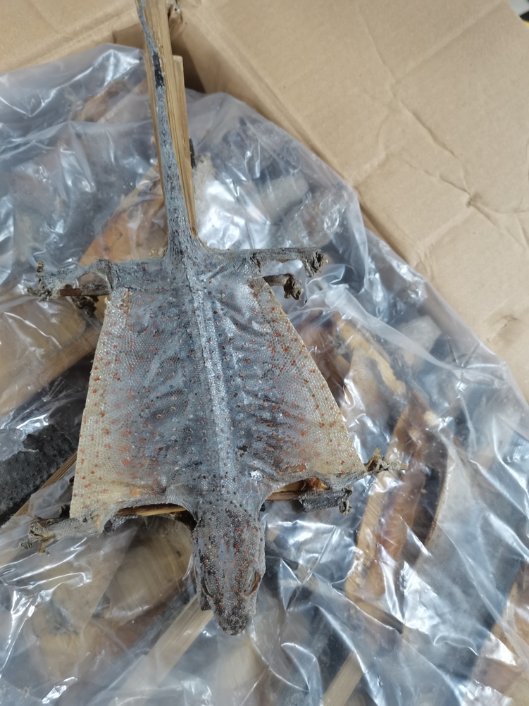 （有修改）【A】重慶：西南地區首家進境中藥材加工存放企業順利完成備案