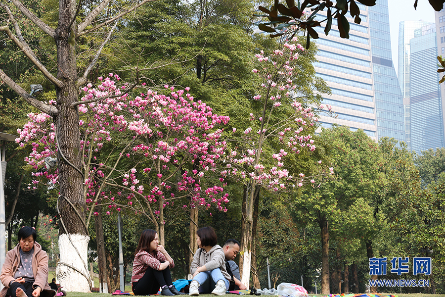 【城市遠洋】重慶：春色盎然惹人醉 花影婆娑迎客來