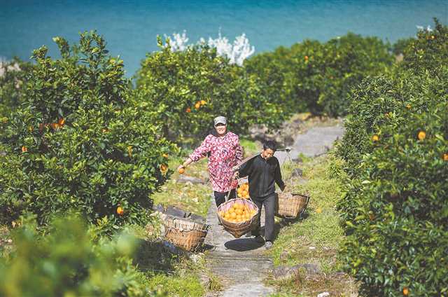 “兩岸青山·千里林帶”扮靚母親河